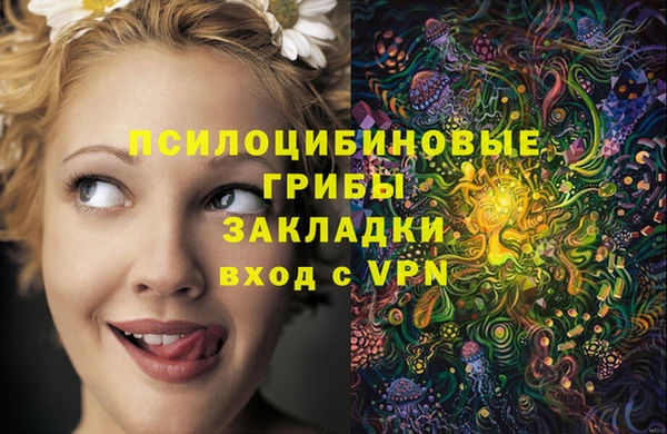 эйфоретик Алексеевка